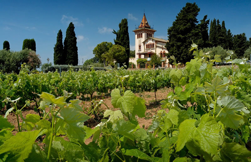 普罗旺斯产区（Provence）