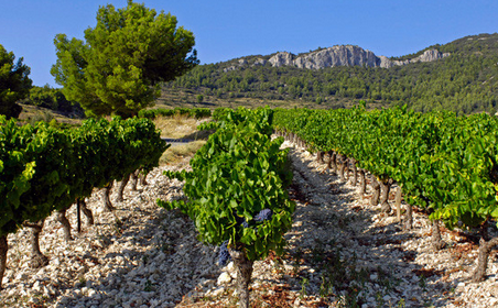 法国罗讷河谷（Rhône Valley, France）   