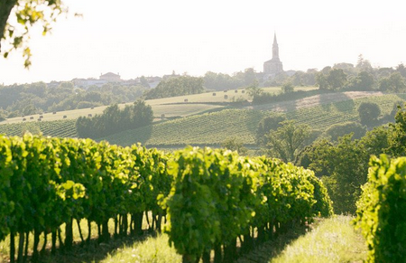 法国香槟产区（Champagne, France）