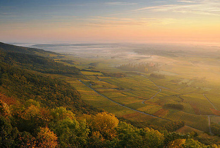 西班牙里奥哈（La Rioja, Spain）   