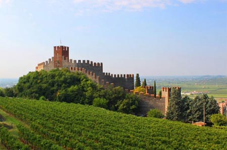 Soave-Vineyards