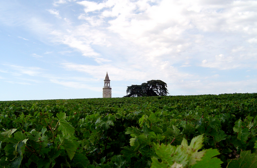 上梅多克产区（Haut-Medoc）