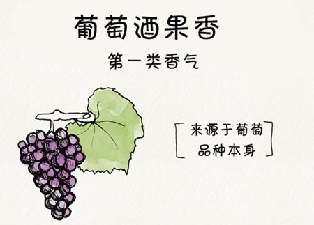 葡萄酒的果香Wine Aromas