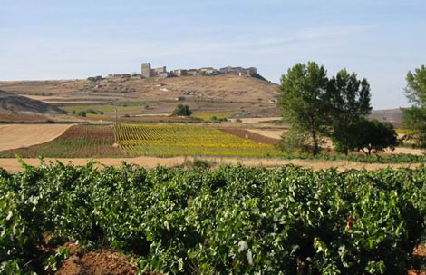 杜埃罗河岸（Ribera del Duero）