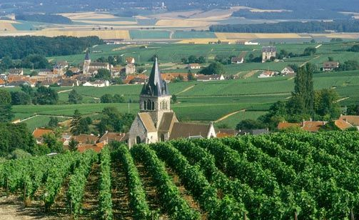 兰斯山产区（Montagne de Reims）