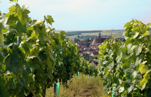 夏布利产区（Chablis）