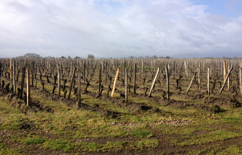 波美侯产区（Pomerol）