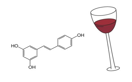 白藜芦醇（Resveratrol）