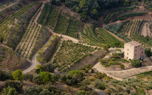 普里奥拉托（Priorat）