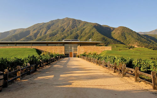 蒙特斯酒庄（Montes Wines）