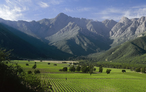 阿空加瓜谷（Aconcagua Valley）