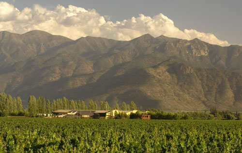 卡恰布谷产区（Cachapoal Valley）