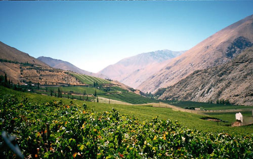 埃尔基谷（Elqui Valley）