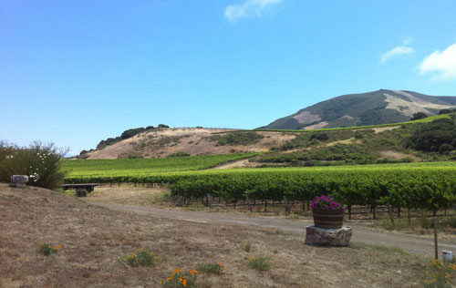 圣丽塔山产区（Santa Rita Hills）