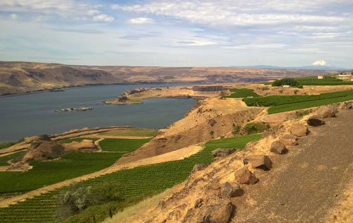 哥伦比亚河谷产区（Columbia Gorge）