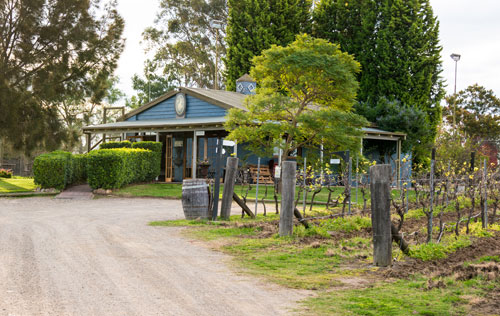 蓝莓山酒庄（Blueberry Hill Vineyard）