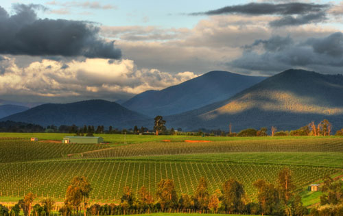 雅拉谷产区（Yarra Valley）