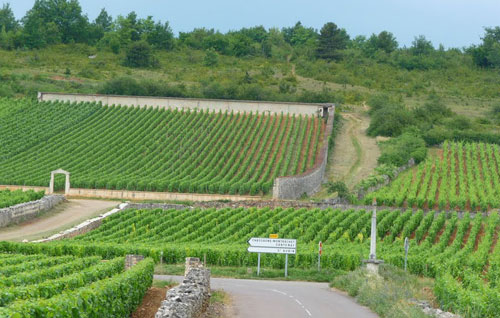 蒙哈榭（Montrachet）特级园