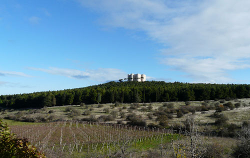 蒙特堡产区（Castel del Monte）