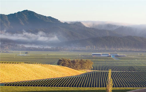 蚝湾酒庄（Oyster Bay Wines）