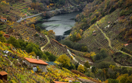 萨克拉河岸产区（Ribeira Sacra）