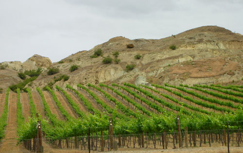 中部奥塔哥（Central Otago）葡萄酒产区