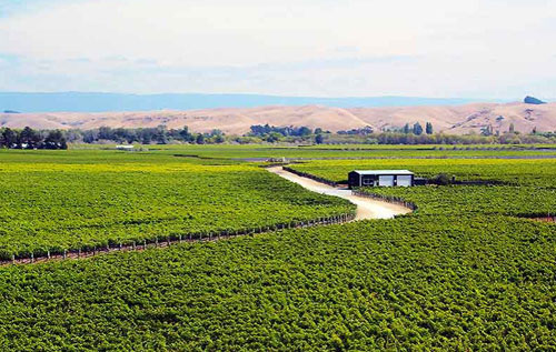 吉布利特砾石区（Gimblett Gravels）