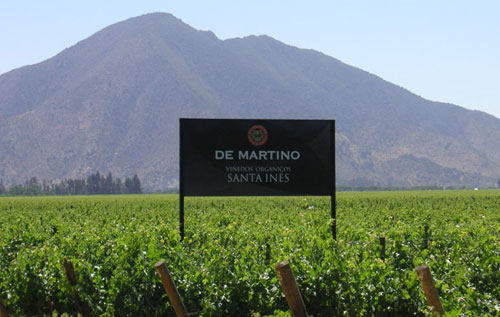 蒂玛尼庄园（De Martino）