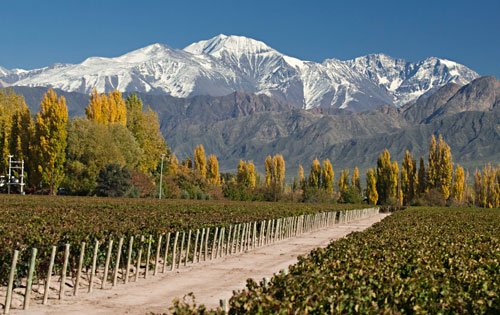 门多萨（Mendoza）葡萄酒产区