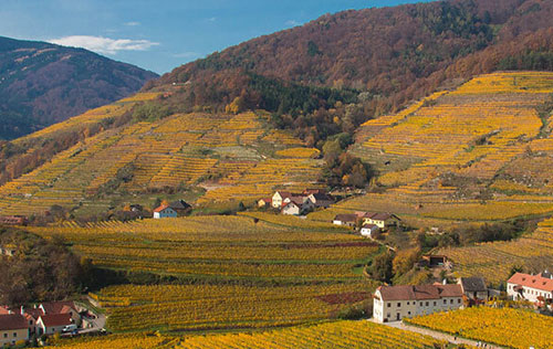 瓦豪产区（Wachau）