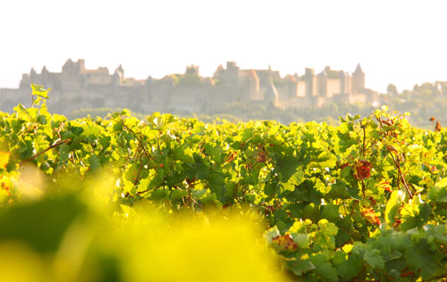 朗格多克-鲁西荣（Languedoc-Roussillon）