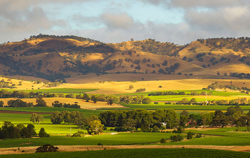 巴罗萨谷（Barossa Valley）