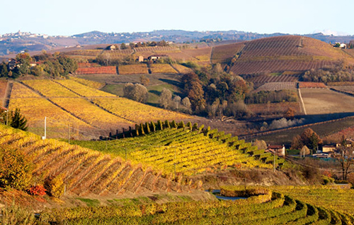 皮埃蒙特大区（Piemonte）